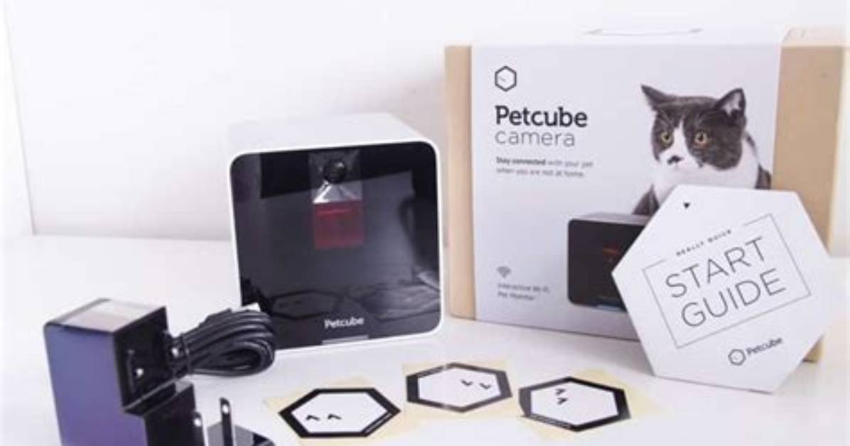 What Does the Petcube Do?