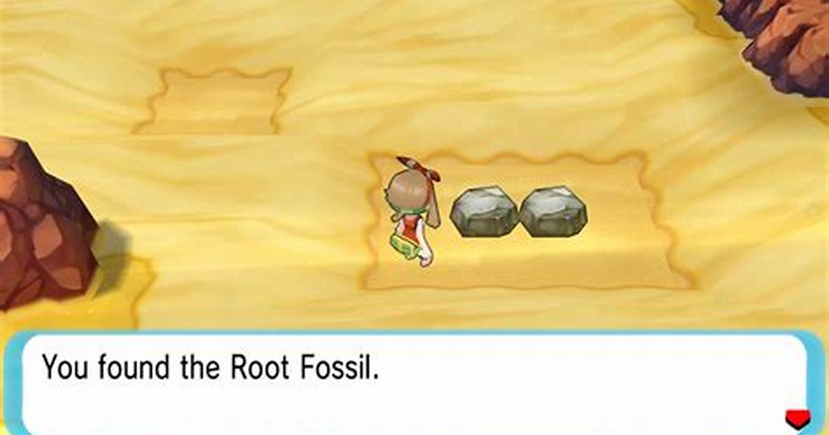 What Does the Root Fossil Turn Into