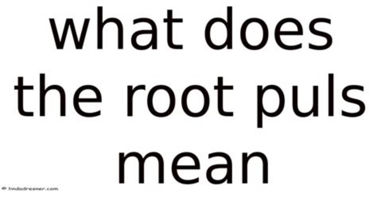 What Does the Root Puls Mean?