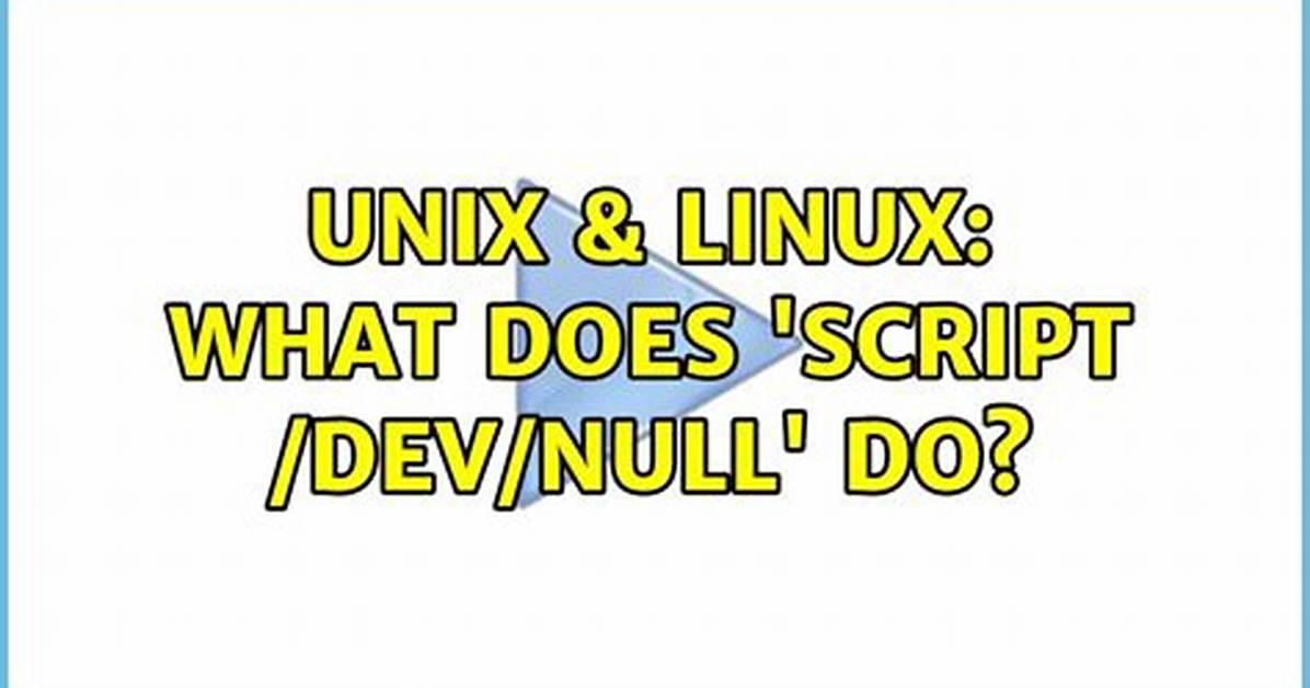 What Does the Script /Dev/Null Do?