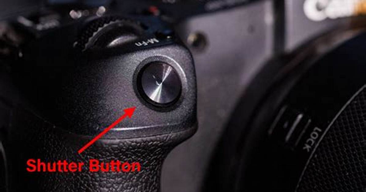 What Does the Shutter Button Do?