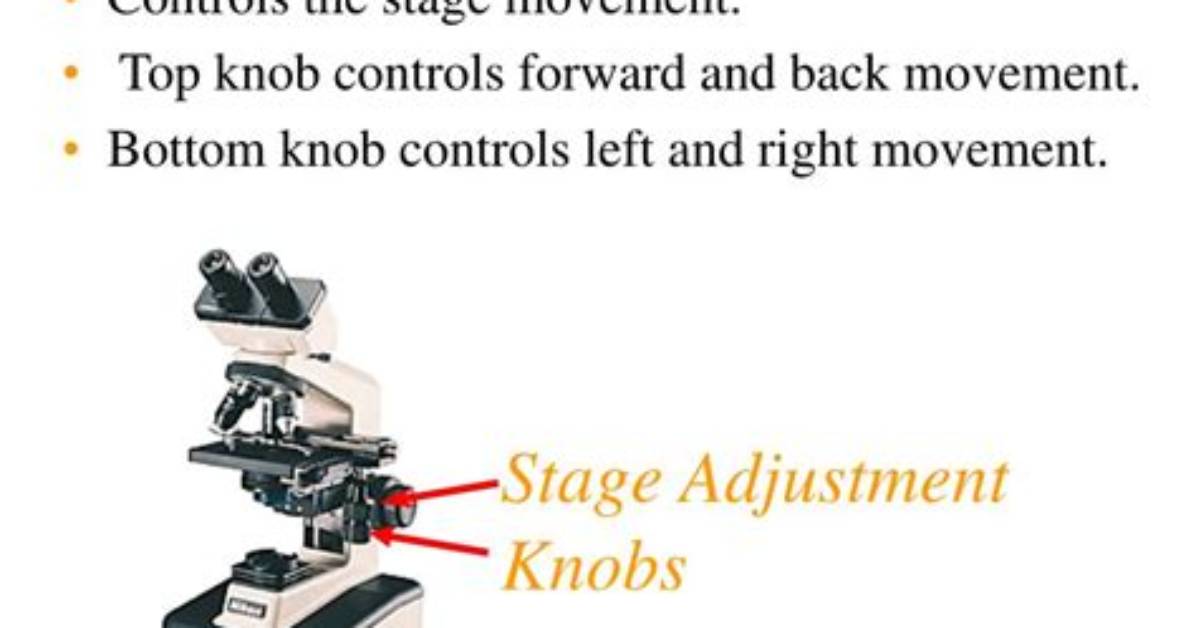 What Does the Stage Adjustment Knob Do?
