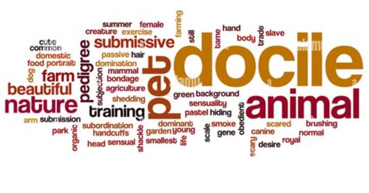 What Does the Word Docile?