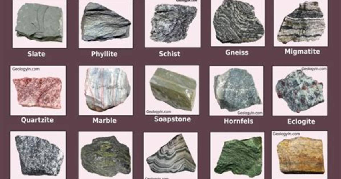 What Does the Word Metamorphic Mean