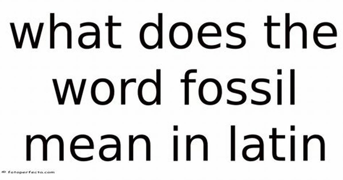 What Does the Word Primitivistic Mean?