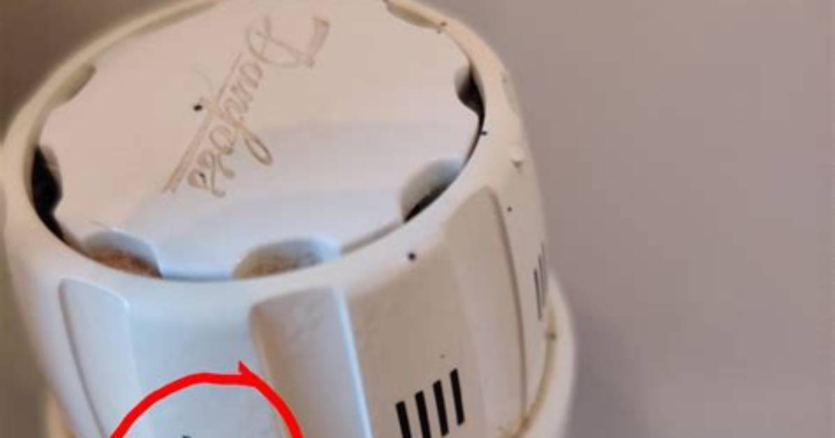 What Does Thermostatic Mean