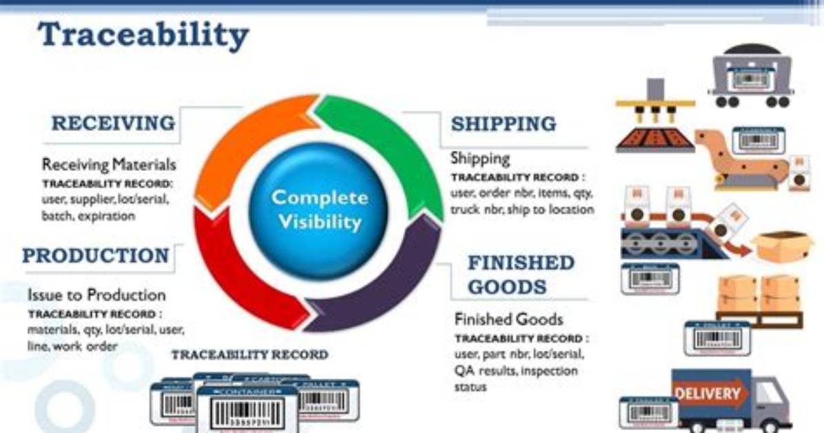 What Does Traceability Mean?