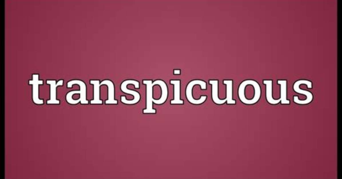 What Does Transpicuous Meaning?