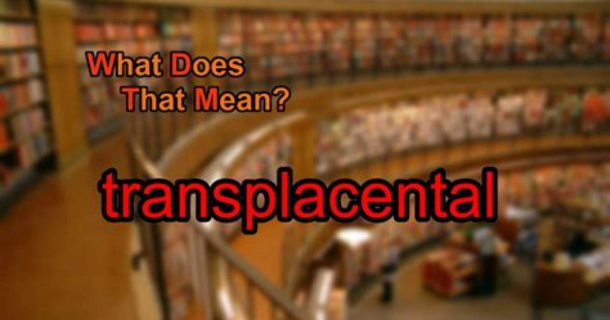 What Does Transplacental Mean?