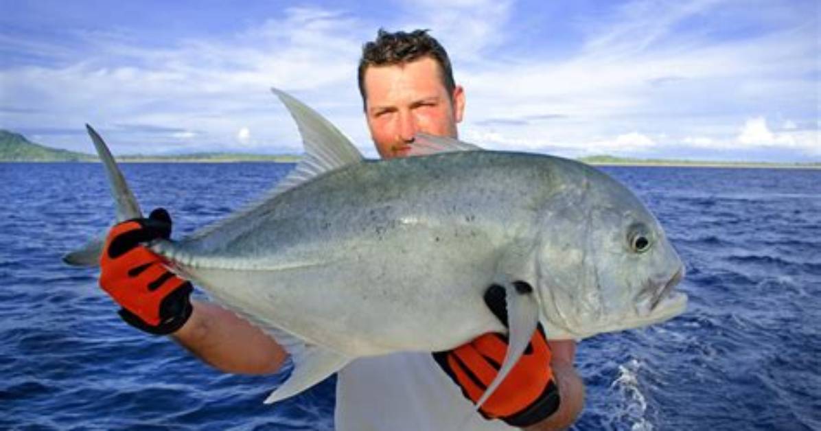 What Does Trevally Taste Like?