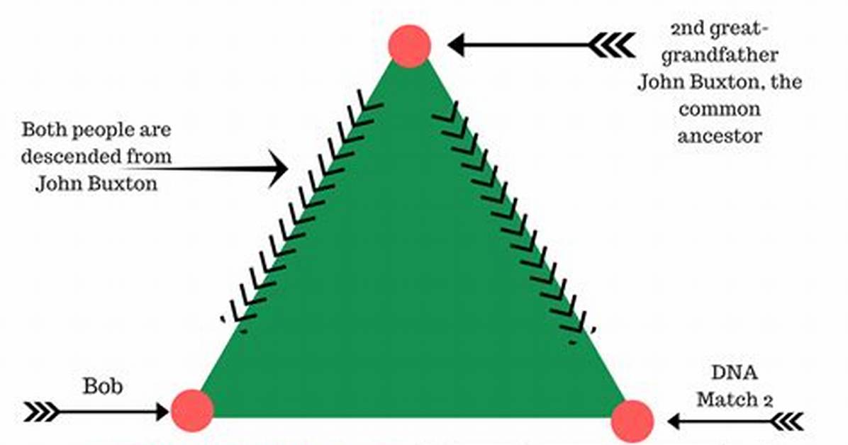 What Does Triangulation Mean?