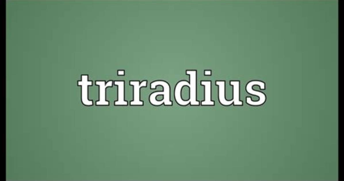 What Does Triradius Meaning?
