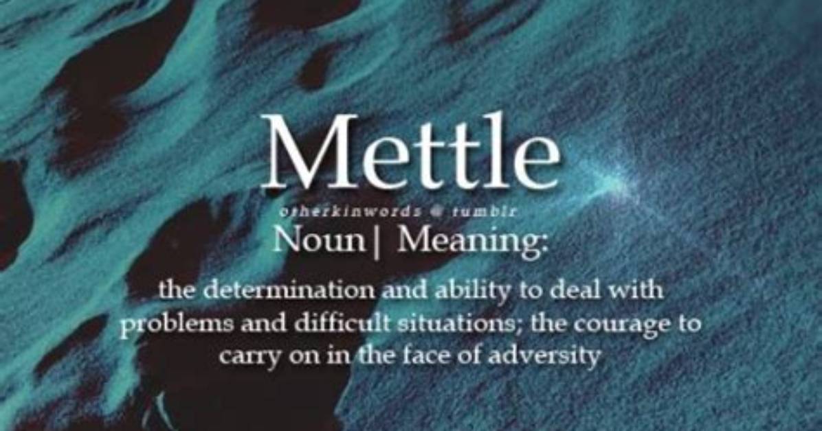 What Does Undaunted Mettle Mean
