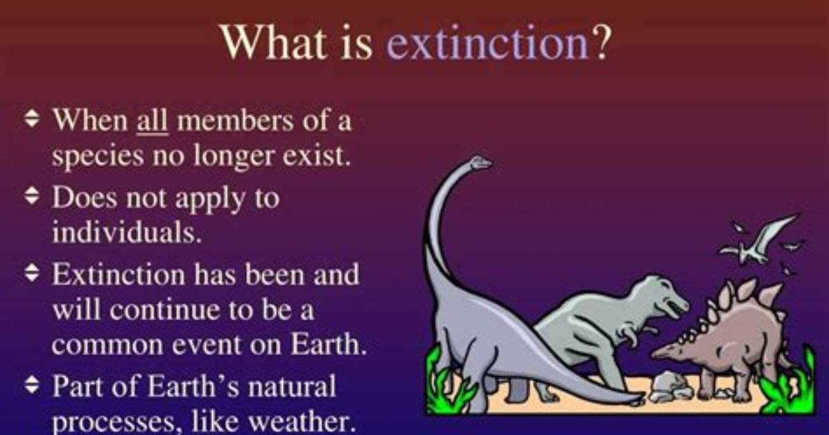 What Does Undulatory Extinction Mean?