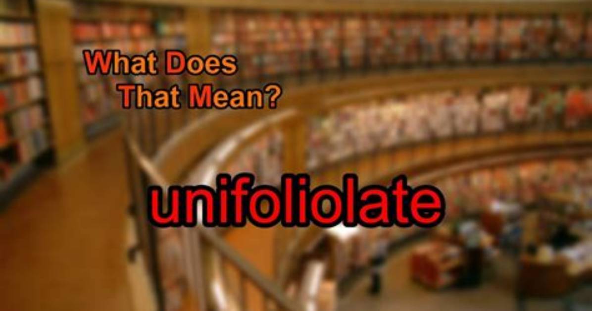 What Does Unifoliolate Mean?