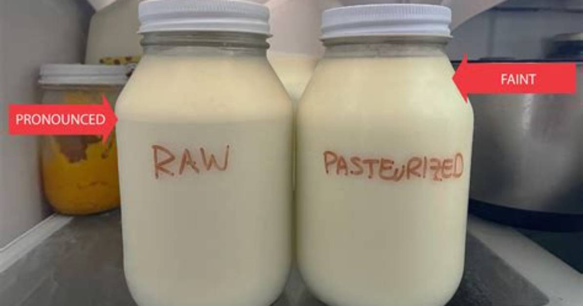 What Does Unpasteurized Mean?