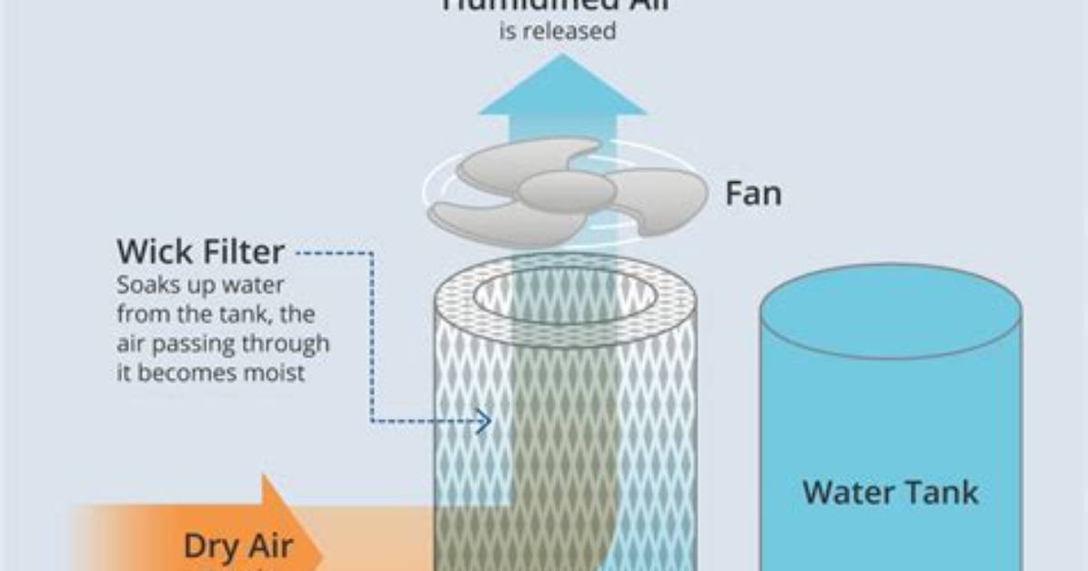 What Does Using a Humidifier Do?