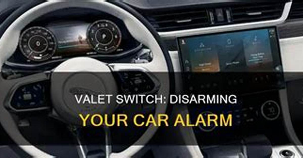 What Does Valet Button Do?