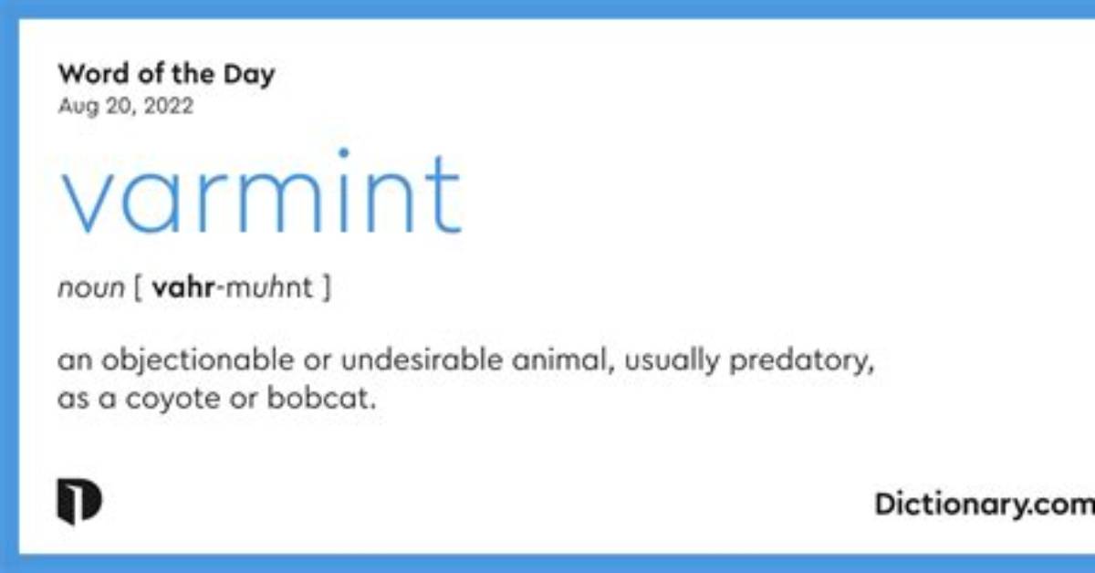 What Does Varmint Mean?