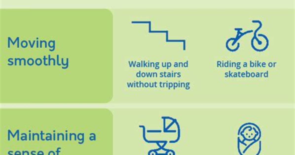 What Does Vestibular Mean?