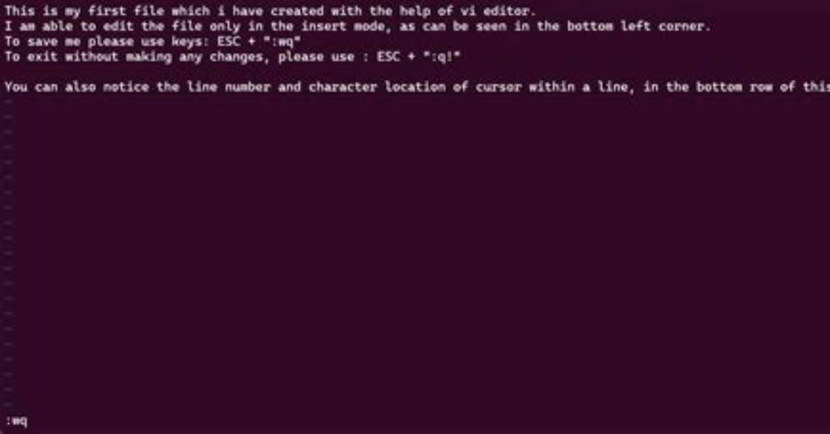 What Does Vi Command Do in Linux?