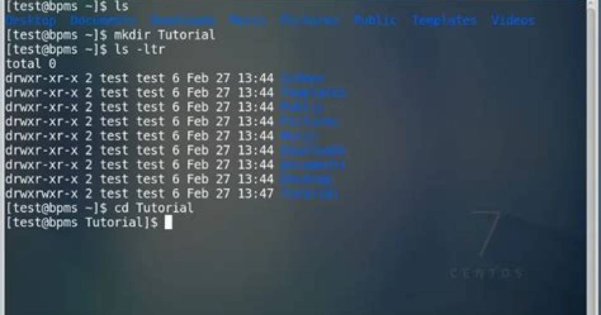 What Does Vim Do in Linux?