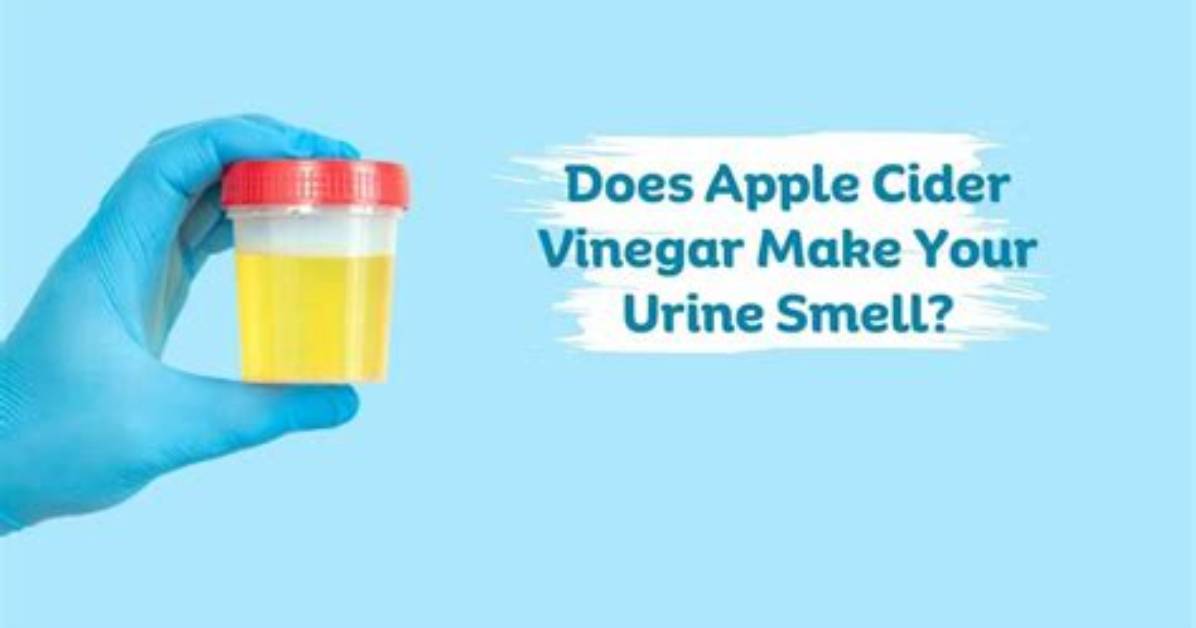 What Does Vinegar Do to Urine
