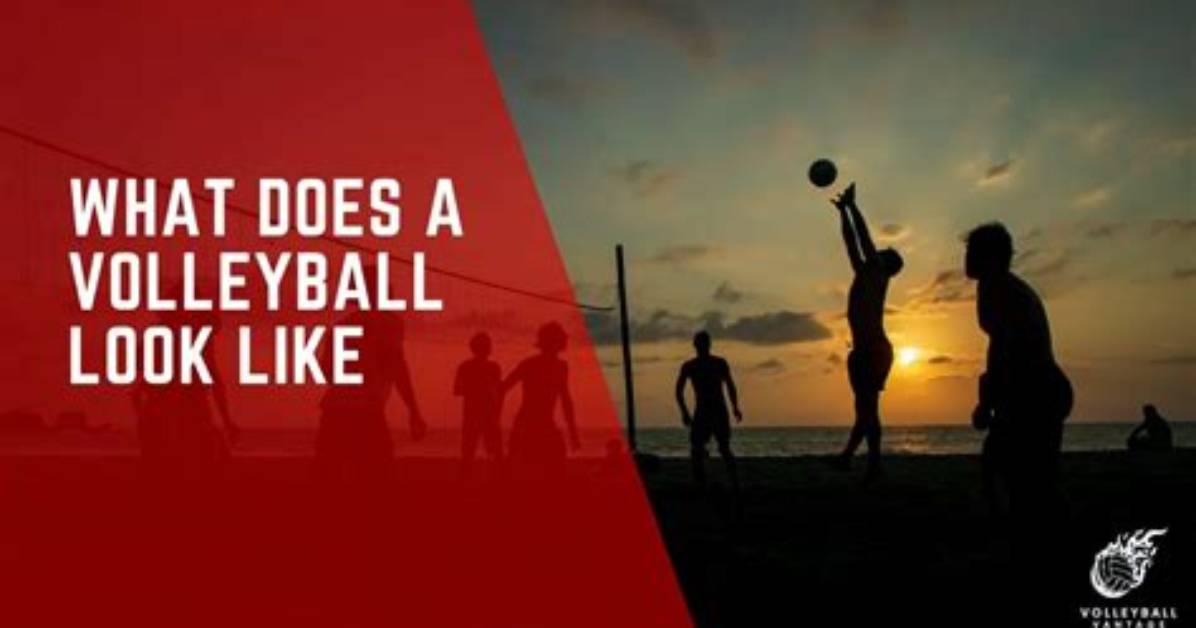 What Does Volleyball Look Like