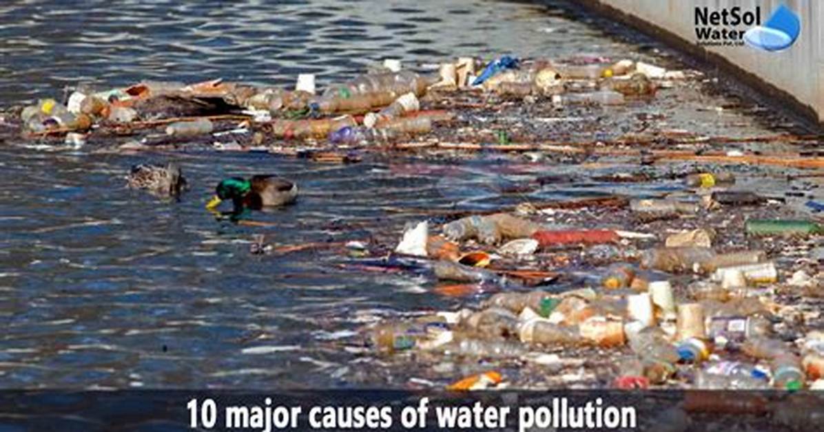 What Does Water Pollution Cause