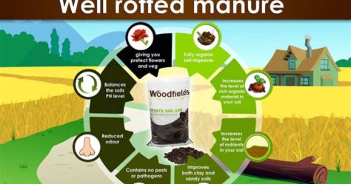What Does Well Rotted Manure Mean?