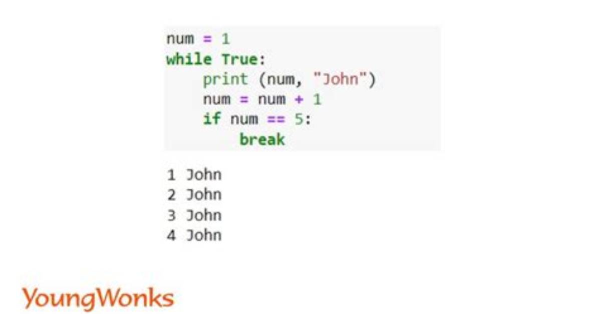 What Does "While True" Mean in Python?