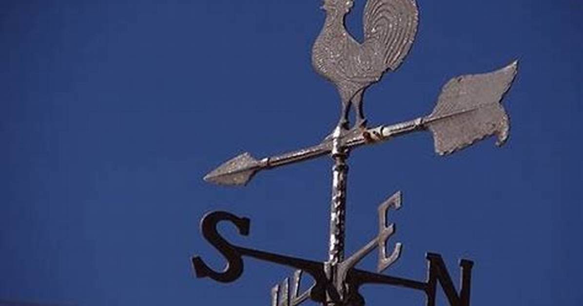 What Does Wind Vane Mean