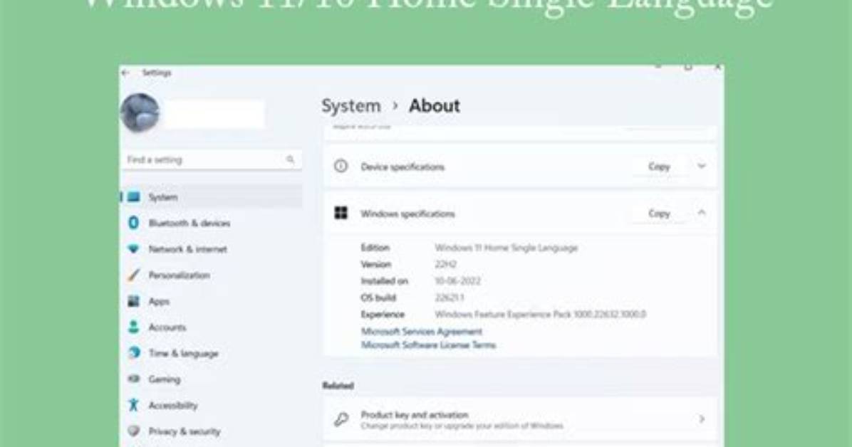 What Does Windows 10 Home Single Language Mean?