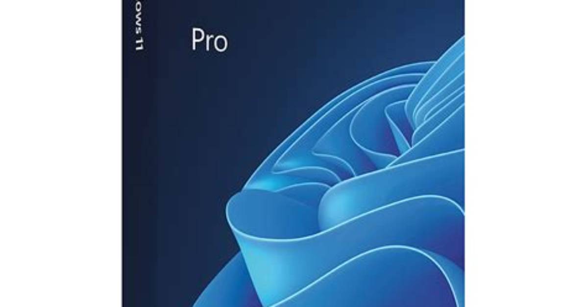 What Does Windows Pro Have?