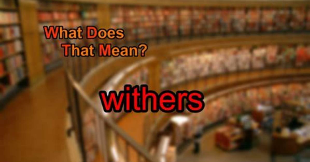 What Does Withers Mean?