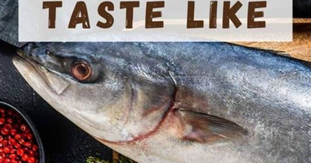 What Does Yellowtail Taste Like?