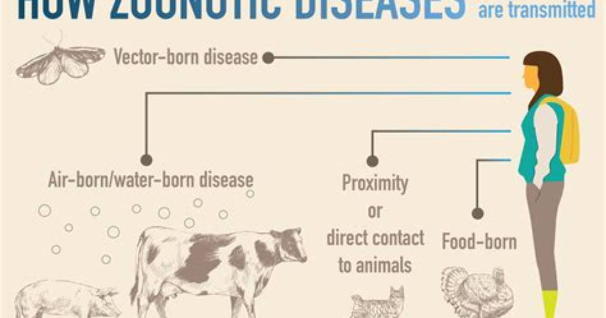 What Does Zoonotic Means?