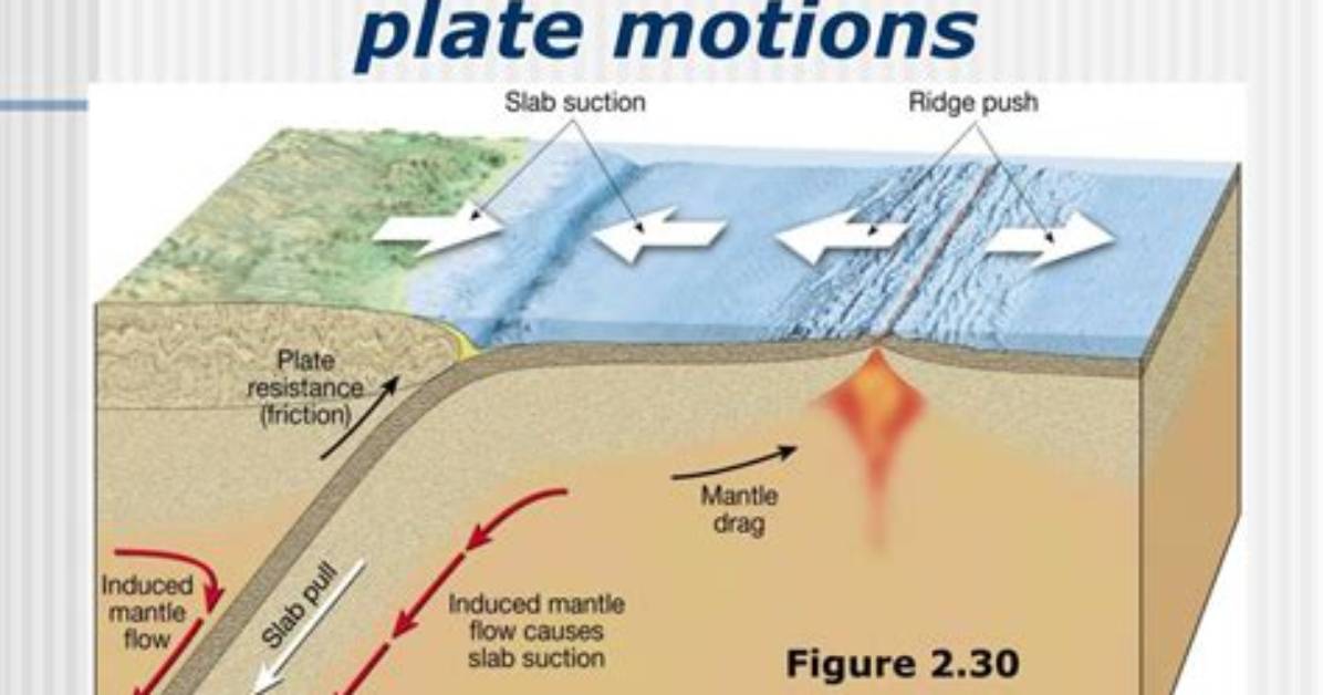 What Drives Plate Motion - Lisbd-Net. Com