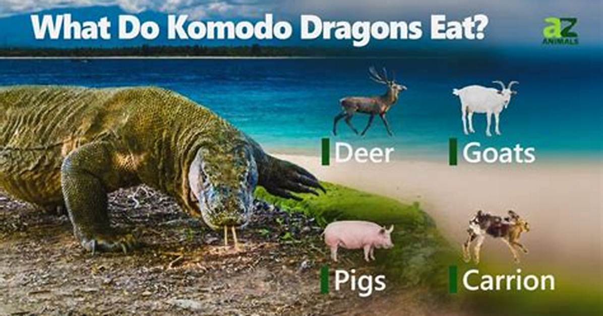 What Eats a Komodo Dragon?