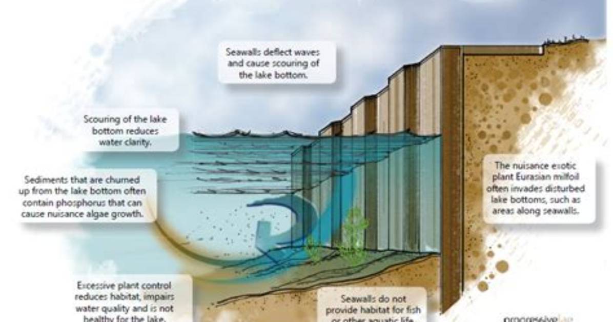 What Effect Does a Seawall Have on a Beach