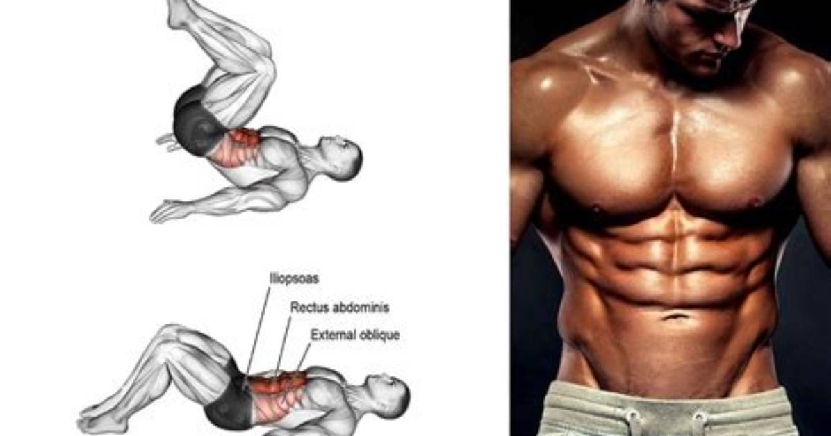 What Exercises Work the Rectus Abdominis