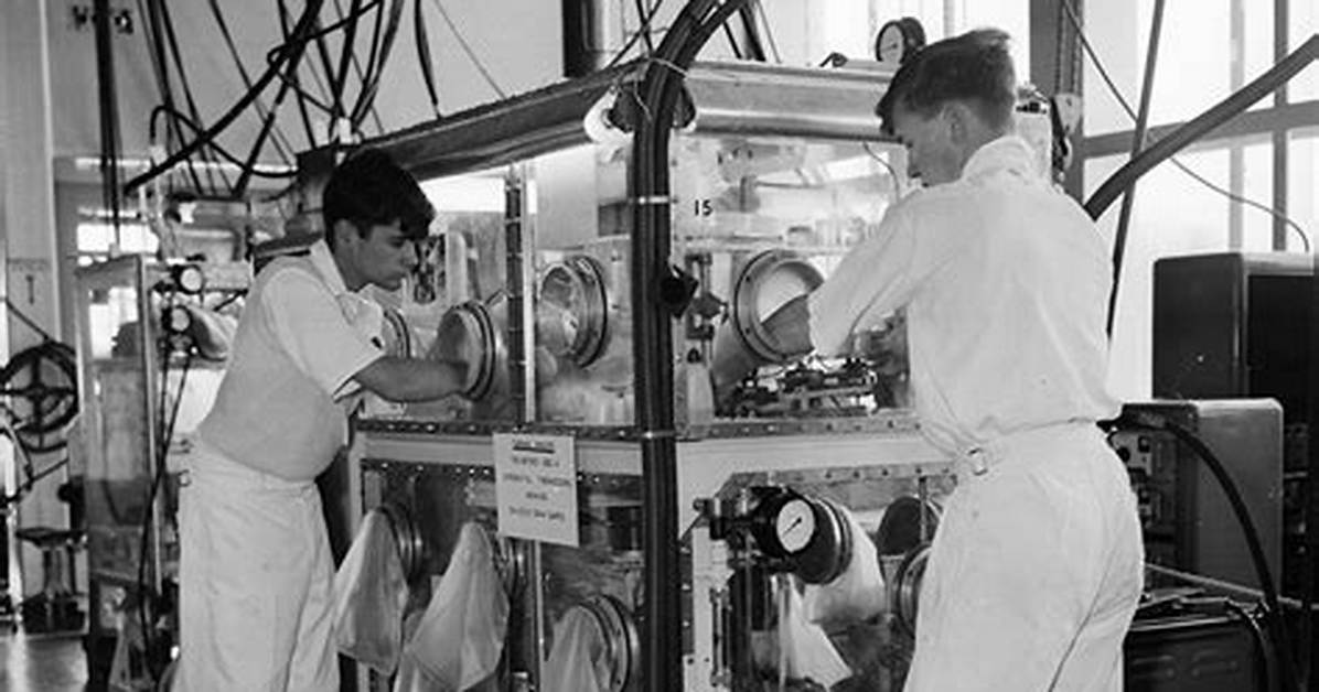 What Experiments Did Tuttle and Bowen Perform?
