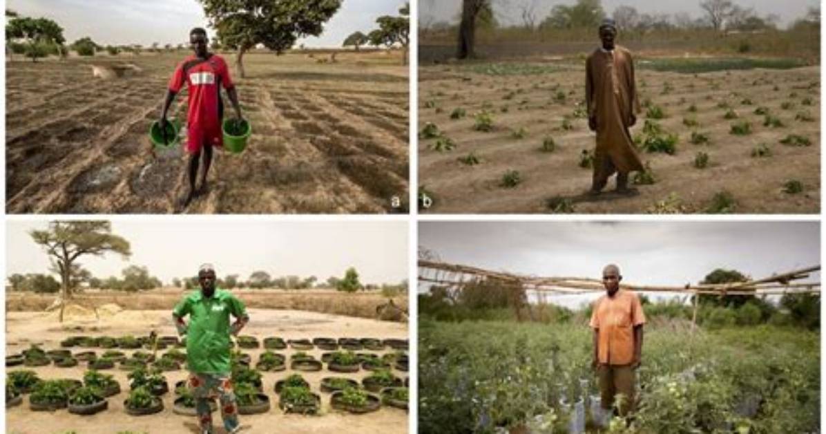What Farming Technique Is Especially Useful in Mountainous Regions?