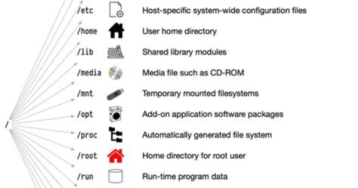 What File System Will Used by Linux Operating System?