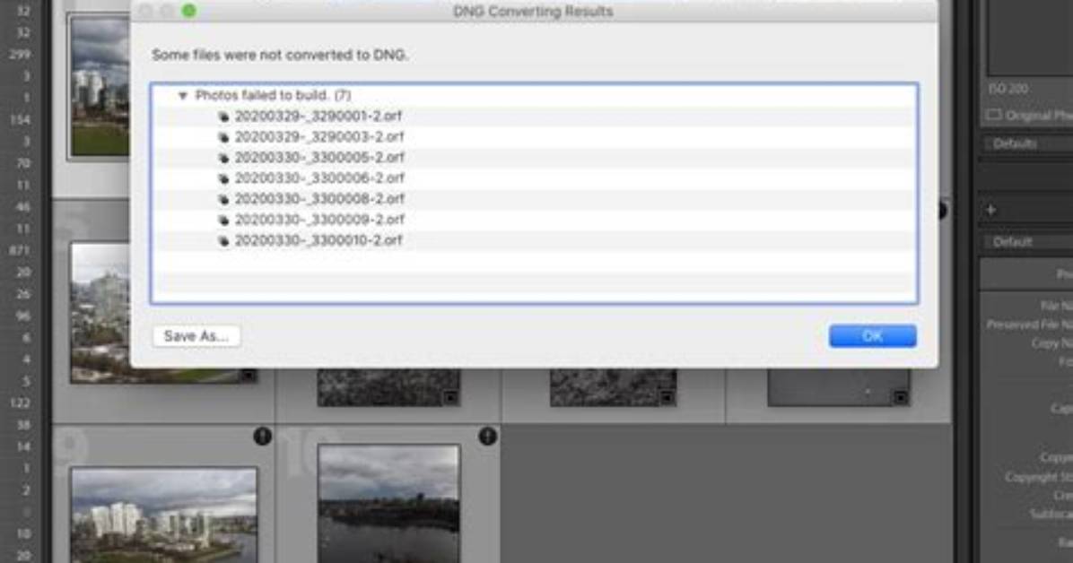 What Files Does Lightroom Support?