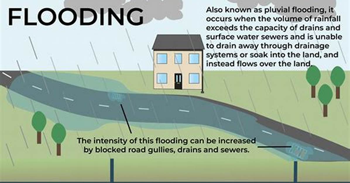 What Flooding Can Cause?