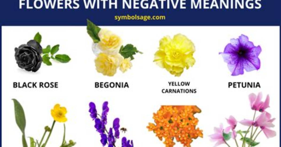 What Flower Symbolizes Hate
