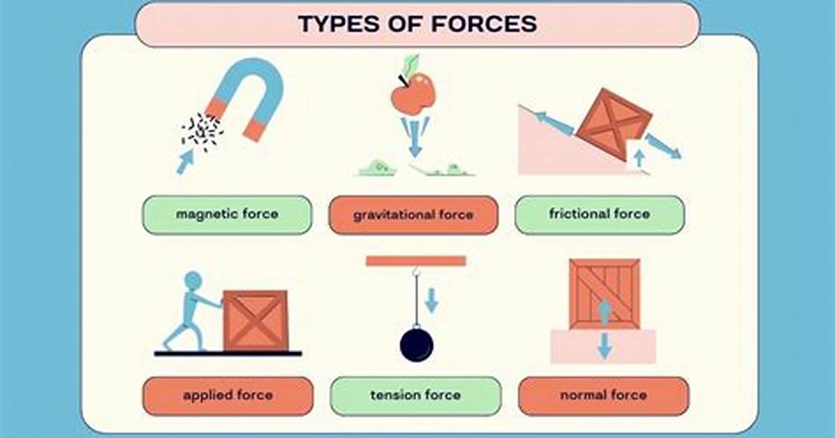 What Forces Act Upon a Plant as It Grows