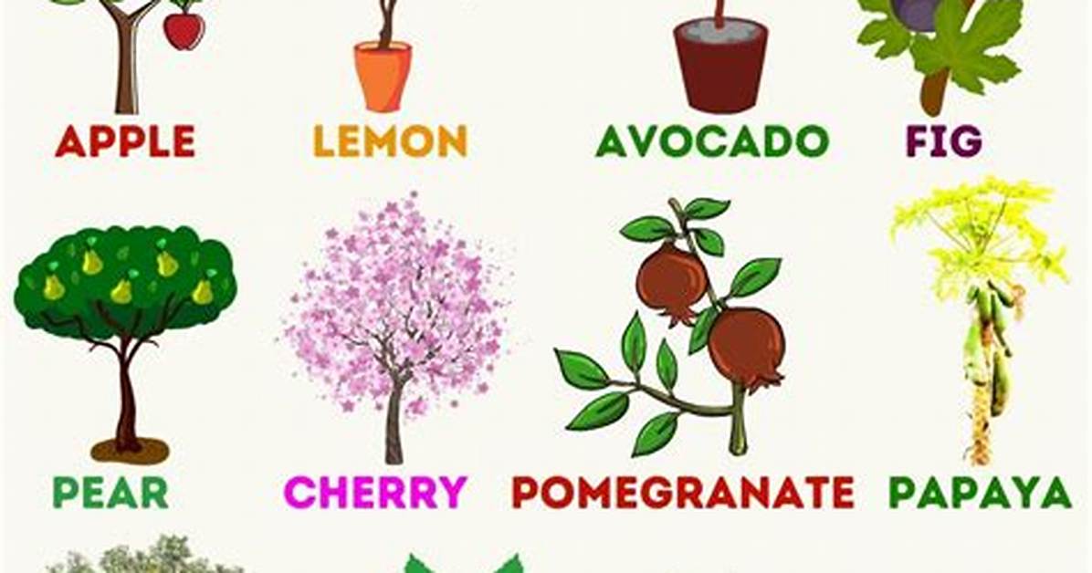 What Fruit Does Not Grow on Trees
