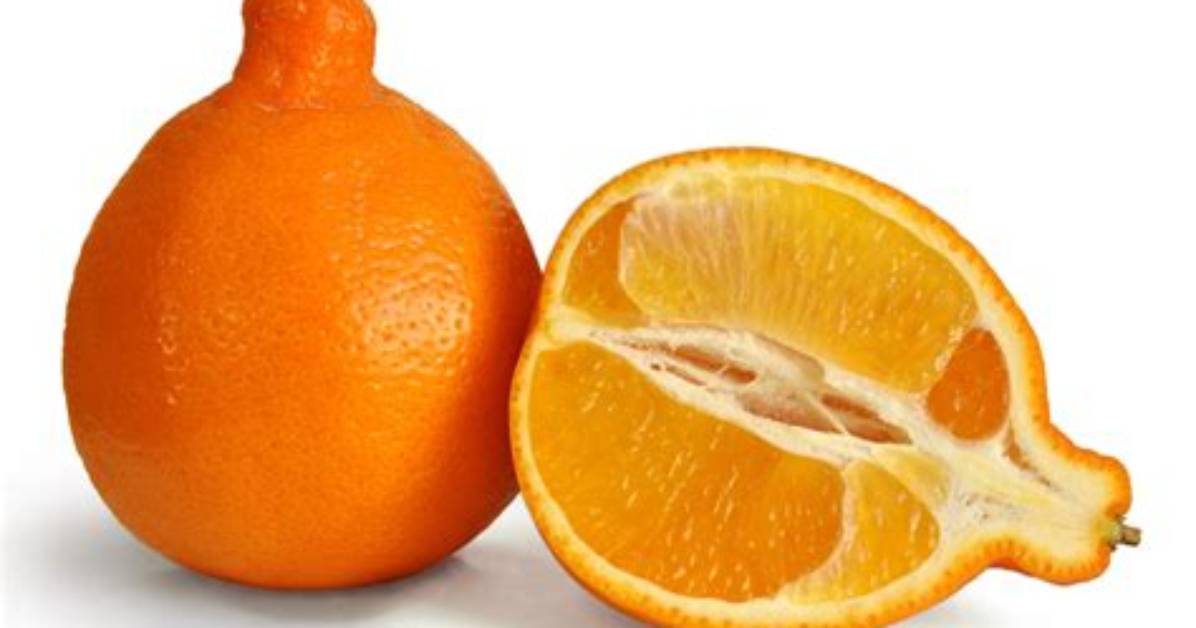 What Fruit Is a Tangelo